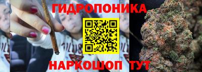 герыч Можга