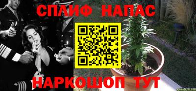 метадон Моздок