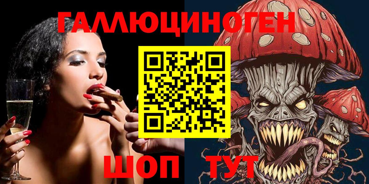 Псилоцибиновые грибы Cubensis  Вход с VPN  Кондопога 